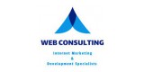 Web Consulting Agency