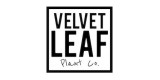 Velvet Leaf Plant Co.