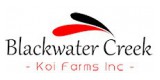 Blackwater Creek Koi Farms