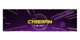 Cyberfin